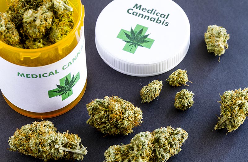 Sì all’uso terapeutico della Cannabis Sì all’uso terapeutico della Cannabis