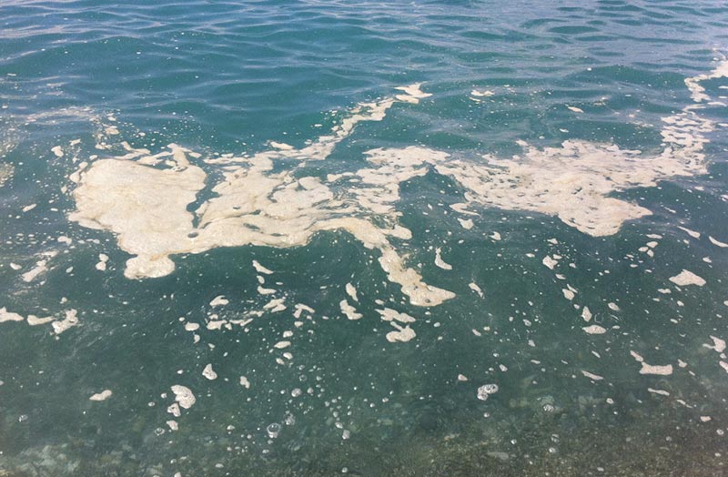 La salute del mare e i rischi per la nostra salute La salute del mare e i rischi per la nostra salute