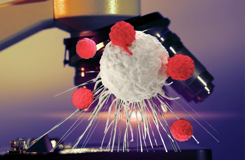 Malattie cardiache, si aprono nuovi orizzonti per la cura Malattie cardiache, si aprono nuovi orizzonti per la cura