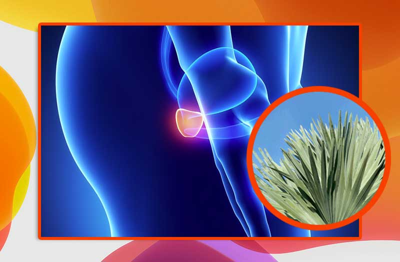 nessun+problema+il+medico+controlla+la+prostata